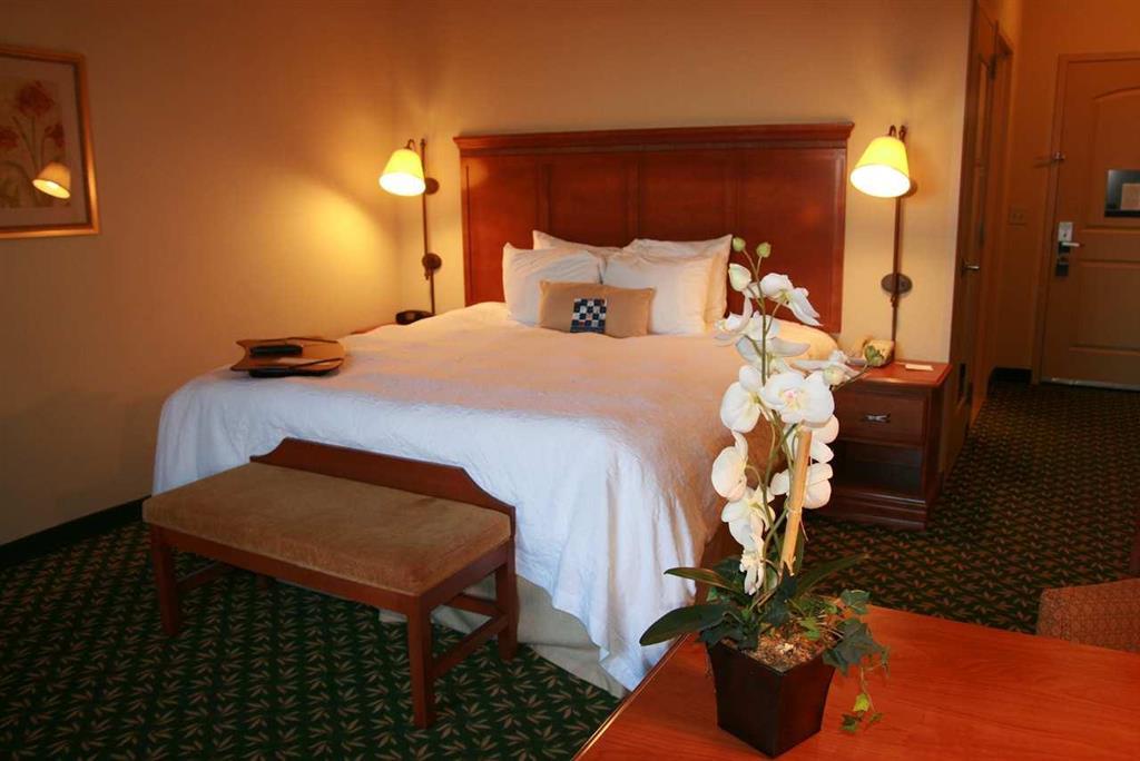 Newly Renovated Hampton Inn Omaha West Lakeside Szoba fotó